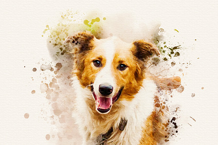 Pet Watercolor Effect Photoshop, an Action Add-On by liptouse