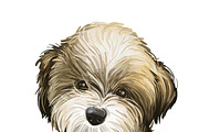 Dogs Cross Breeds 56 Animals Bundle, an Animal Illustration by Dneprstock (Thumbnail 19 of 55)