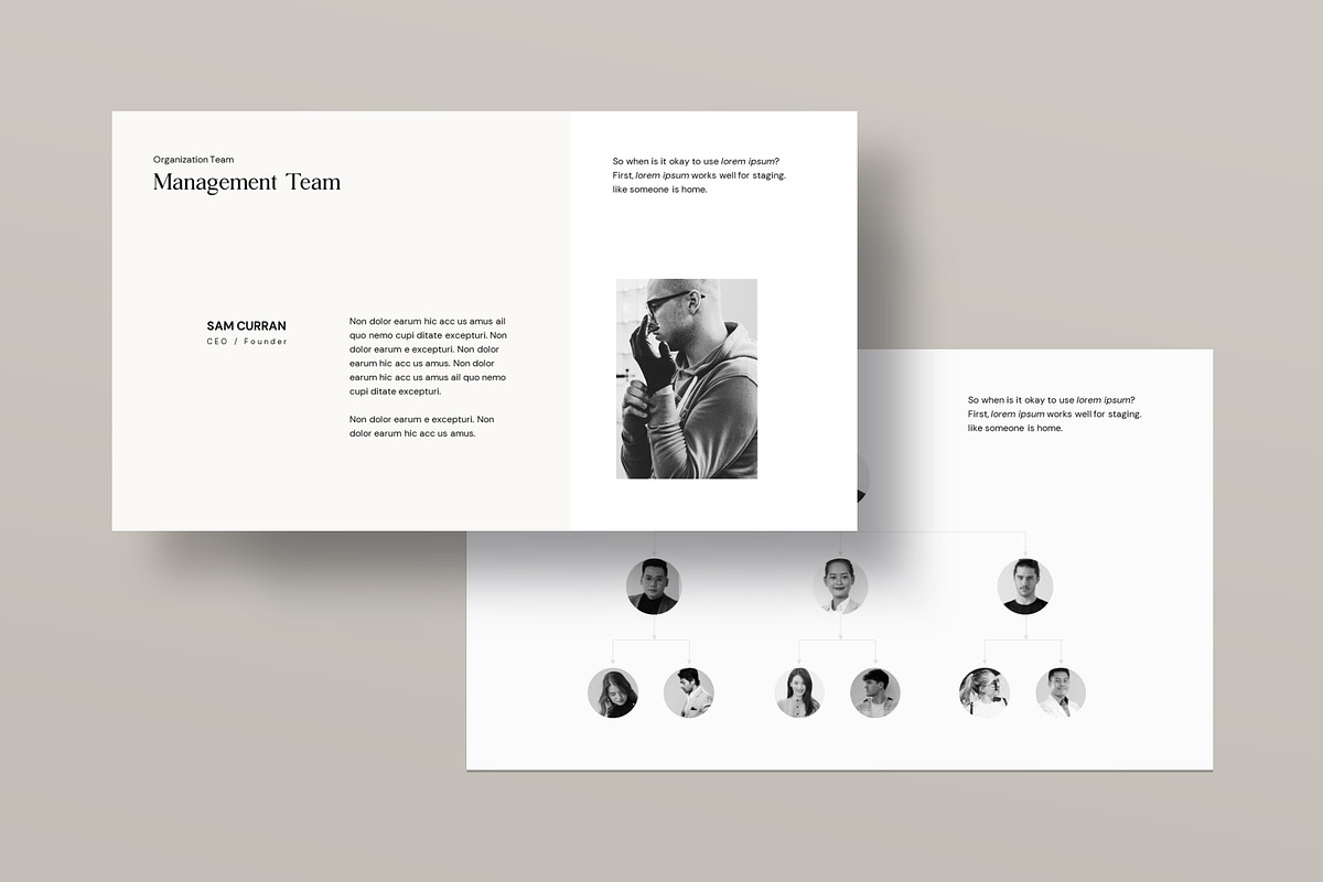 Business Plan PowerPoint Template, a Presentation Template by evgenystudio (Photo 3 of 17)