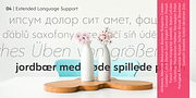 Clarika Office, a Sans Serif Font by Wild Edge (Thumbnail 9 of 9)