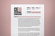 Brown Professional Modern Resume, a Resume Template by The Good Store (Thumbnail 3 of 3)