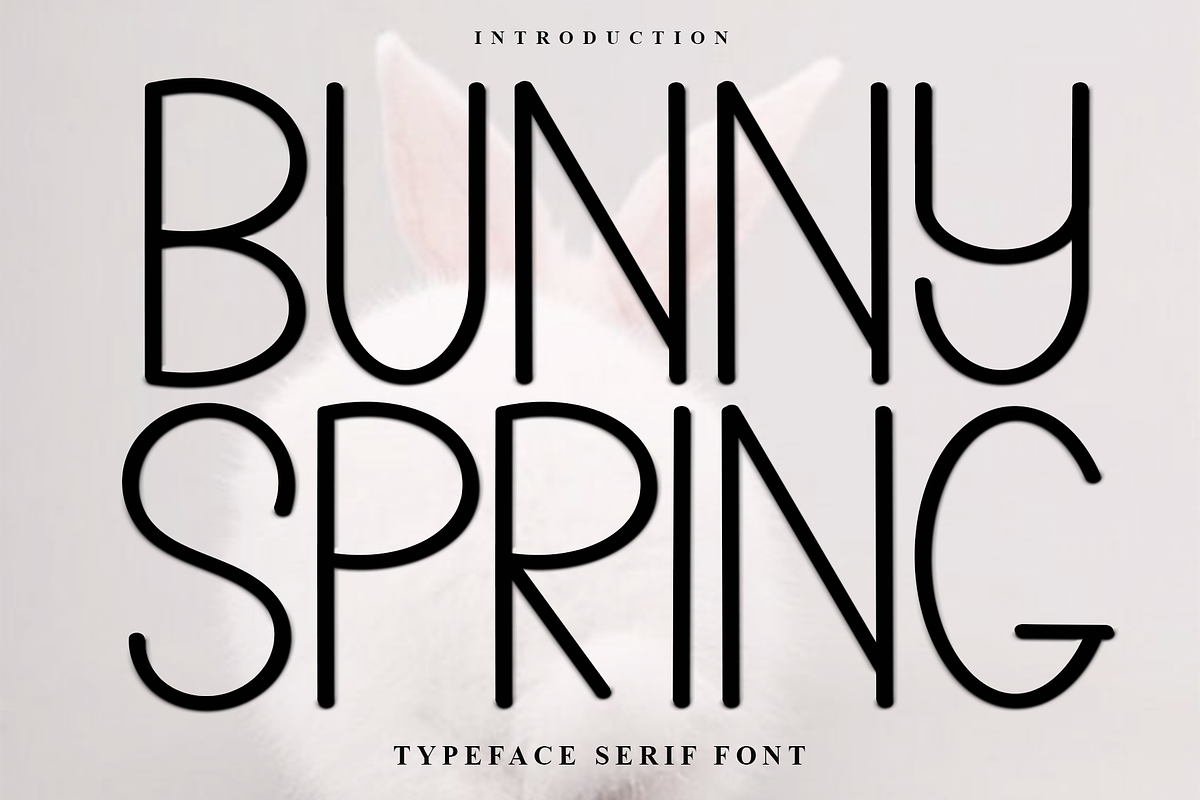 Bunny Spring, a Sans Serif Font by InermediaSTUDIO (Photo 1 of 7)
