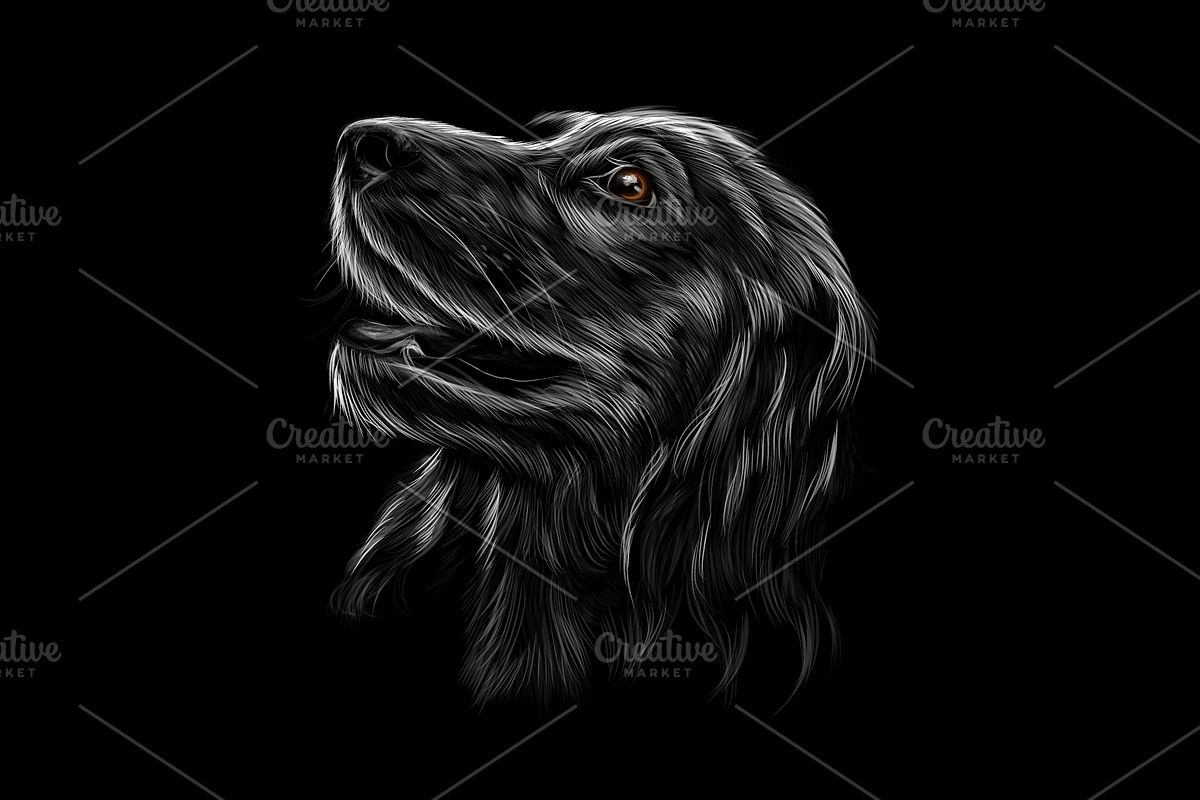 English Cocker Spaniel, an Animal Illustration by 3D Tai (Photo 1 of 3)