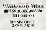 Hatem, a Serif Font by Drizy (Thumbnail 10 of 11)