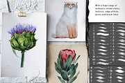 Brush Pack - Ink and Watercolor - PS, a Brush Add-On by ZiziMarket (Thumbnail 7 of 8)