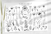 Floral Elements. Seamless Patterns., an Illustration by Diana Kovach (Thumbnail 8 of 10)