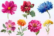 Colorful Meadow Flower Clipart PNG., a Graphic by CitraGraphics (Thumbnail 3 of 4)