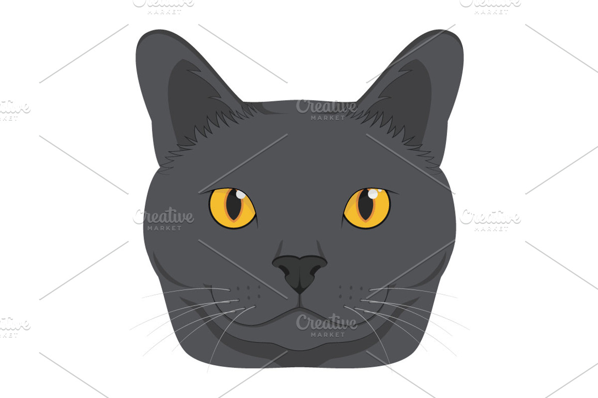 9x Cat breeds Vector Collection, an Animal Illustration by asantosg (Photo 3 of 5)