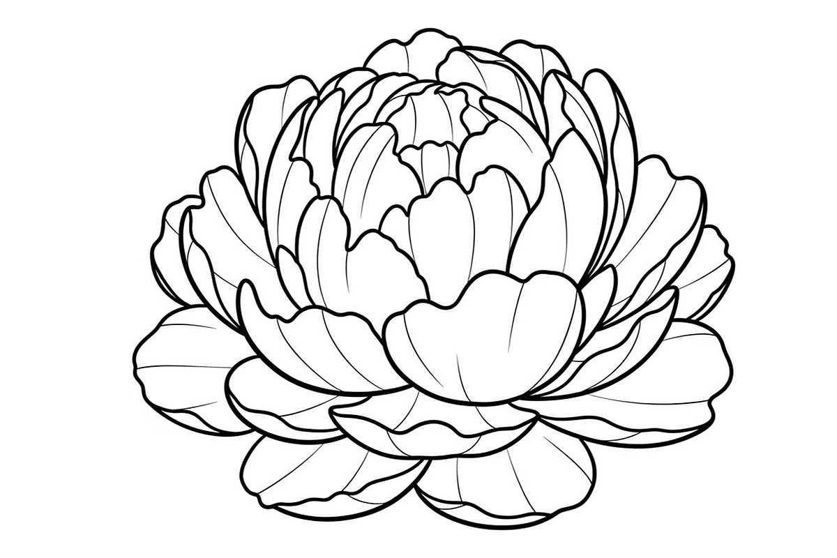 50 Floral Nature Vector Illustration, an Illustration by Gaye Art (Photo 5 of 51)