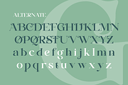 Huffleheim - Elegant Modern Serif, a Serif Font by Qweera Studio (Thumbnail 10 of 12)