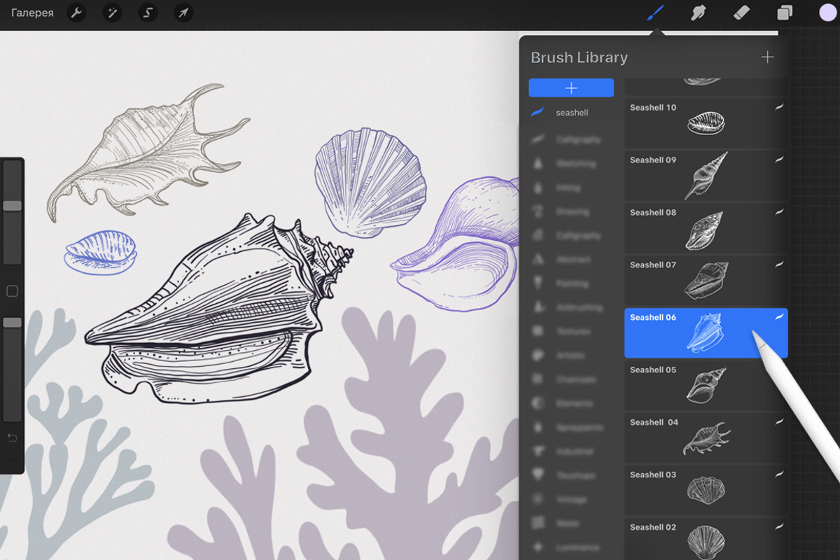 Procreate - Seashell Stamps, a Brush Add-On by ms Julia Nova (Photo 2 of 4)