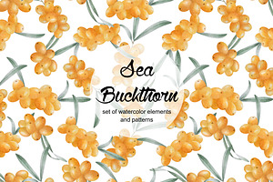 Watercolor Sea Buckthorn Collection