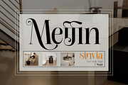 Sinvia, a Serif Font by saemoon creative (Thumbnail 10 of 15)