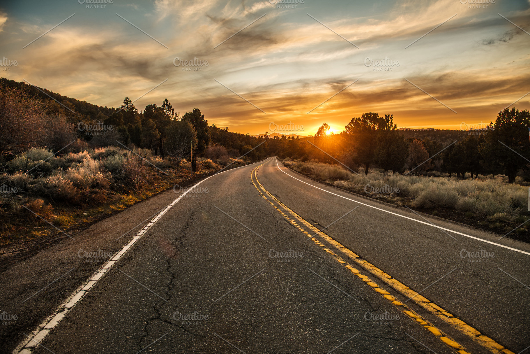 Scenic asphalt country road, a Wallpaper Photo by New York Art Store