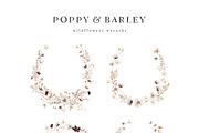 POPPY & BARLEY Autumn Wildflowers, a Seasonal Illustration by Muse Artist (Thumbnail 7 of 14)
