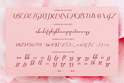 Quintella, a Script Font by Uloel Design (Thumbnail 4 of 5)
