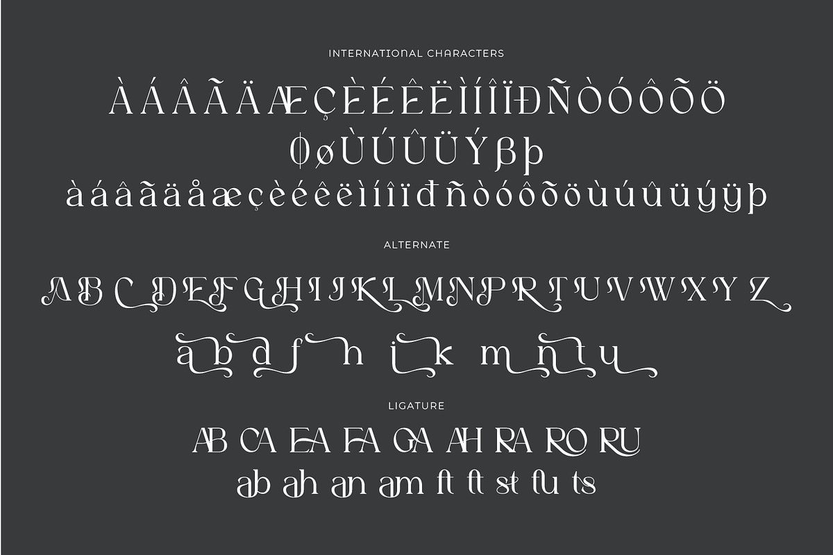 Astafine - Serif Typeface Family, a Serif Font by Rishsketch (Photo 14 of 16)