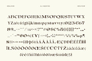 Briallen Mix, a Serif Font by Craft Supply Co. (Thumbnail 8 of 8)
