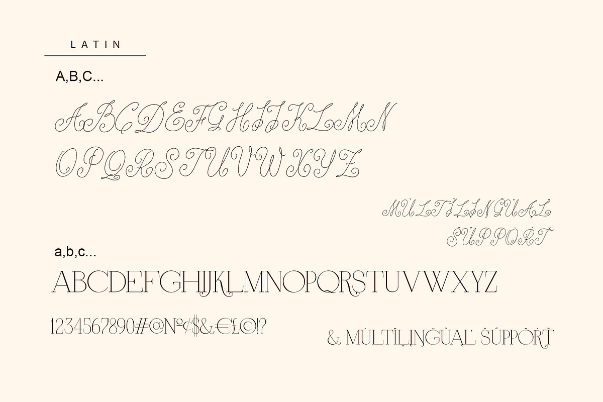 Anna Monro Cyrillic Script Serif, a Script Font by IraDvilyuk (Photo 10 of 11)