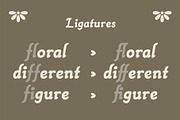 Alephand – A Traditional Script Font, a Serif Font by Hole Hope Design (Thumbnail 5 of 8)