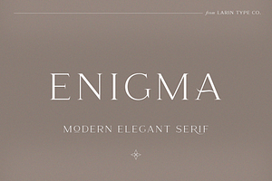 Enigma, a Serif Font by Larin Type Co.