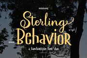 Sterling Behavior | Handwritten Duo, a Font by Denustudios (Thumbnail 1 of 13)