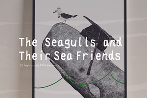 The Seagulls and  Their Sea Friends, an Animal Illustration by Kurakoza