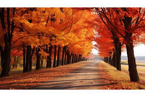 nature outdoor road background ai, an Animal Photo by pikepicture