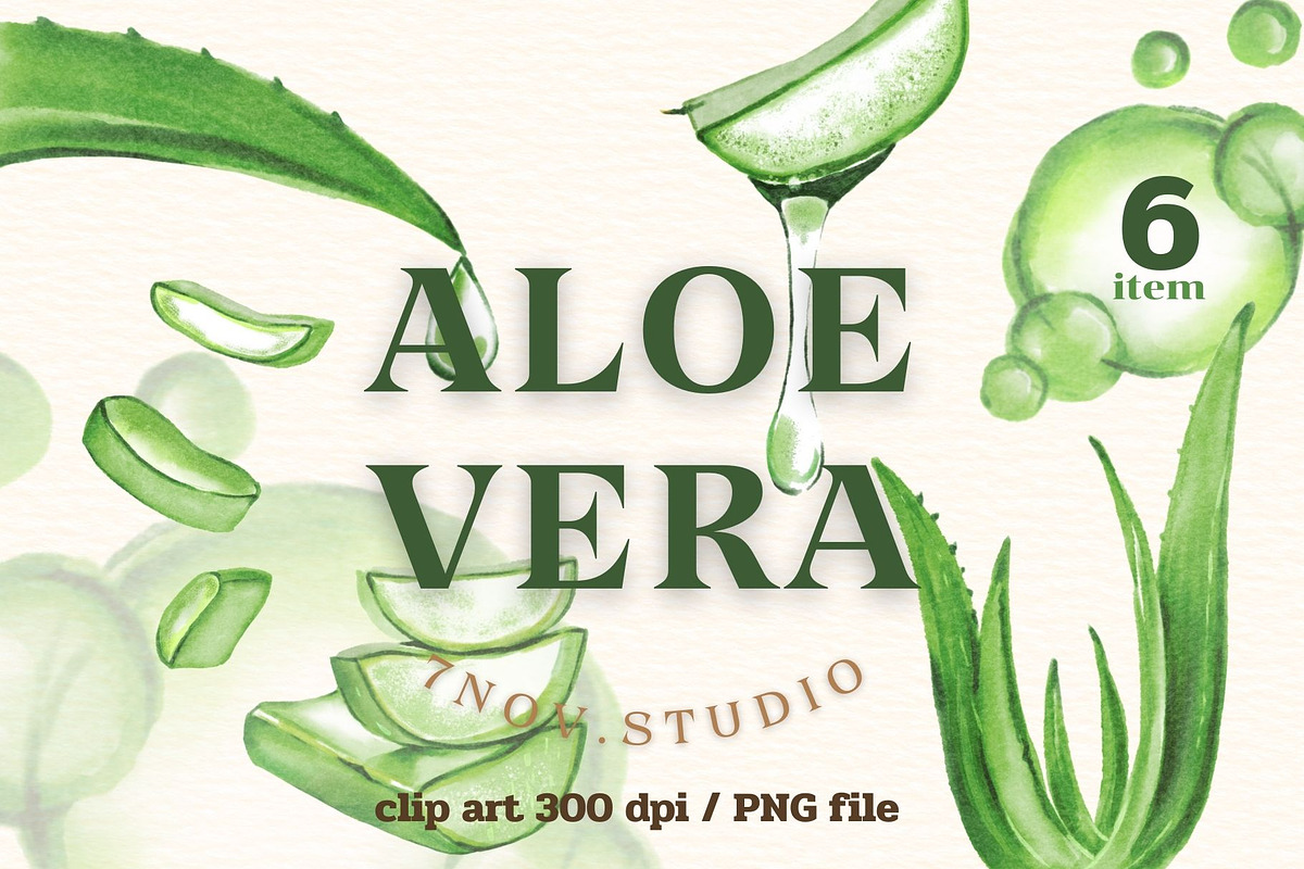 Alo Vera Green, a Healthcare Illustration by 7nov.studio (Photo 1 of 2)