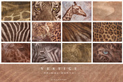 Vestige · Primal Earth Backgrounds, a Background Graphic by alonahaidash (Thumbnail 12 of 16)