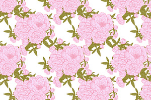 Pink Peony Card Templates Patterns