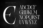Areogas Vintage - Modern Serif, a Serif Font by Nirmana Visual (Thumbnail 8 of 13)