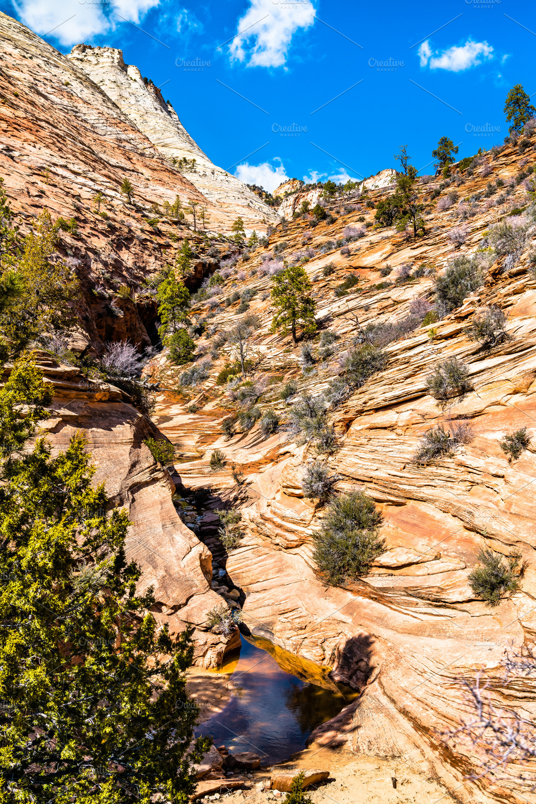 Landscape of zion national park alon stock photo containing zion and canyon, a Nature Photo by Leonid Andronov