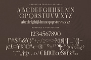 Storyline Regario Font Duo, a Serif Font by Storytype Studio (Thumbnail 11 of 15)