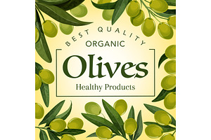 Best Quality Healthy Olive Products