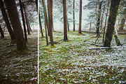 MILLION OF GREEN-Set of 20presets Lr, an Action Add-On by Graphics, Presets, Photos (Thumbnail 9 of 21)