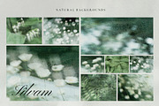 Silvam - Natural Backgrounds, a Background Graphic by Watercolor_Ma (Thumbnail 8 of 9)