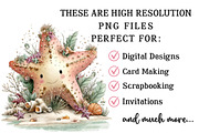 Whimsical Summer Starfish Clipart, an Illustration by OK Design (Thumbnail 4 of 6)
