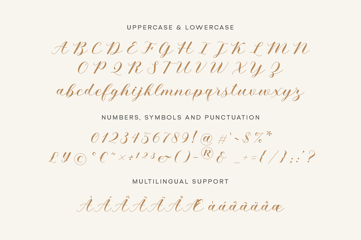 Alyusa - a modern calligraphy script, a Script Font by Siwox Studios (Photo 7 of 9)