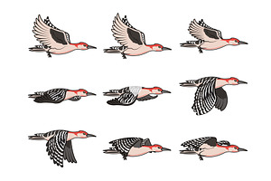 Flying Woodpecker Animation Sprite