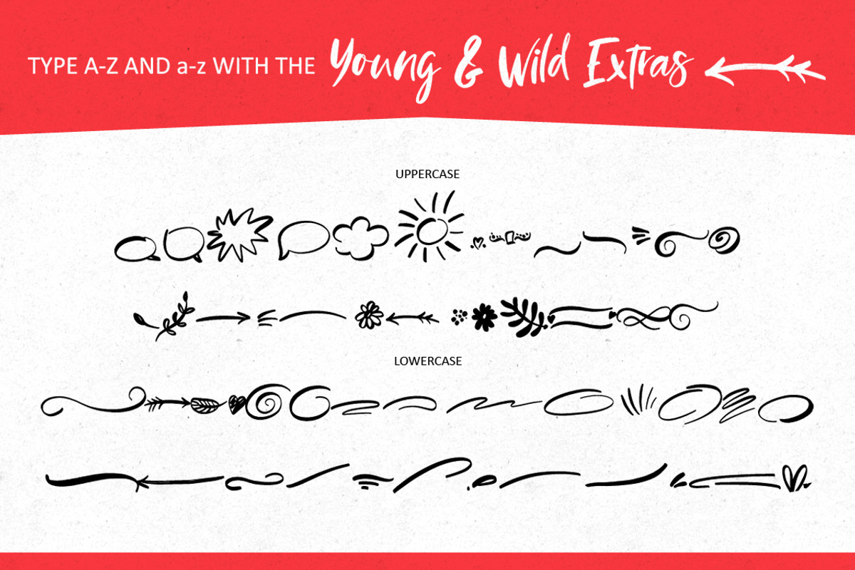 NEW! Young & Wild Brush Font preview 8