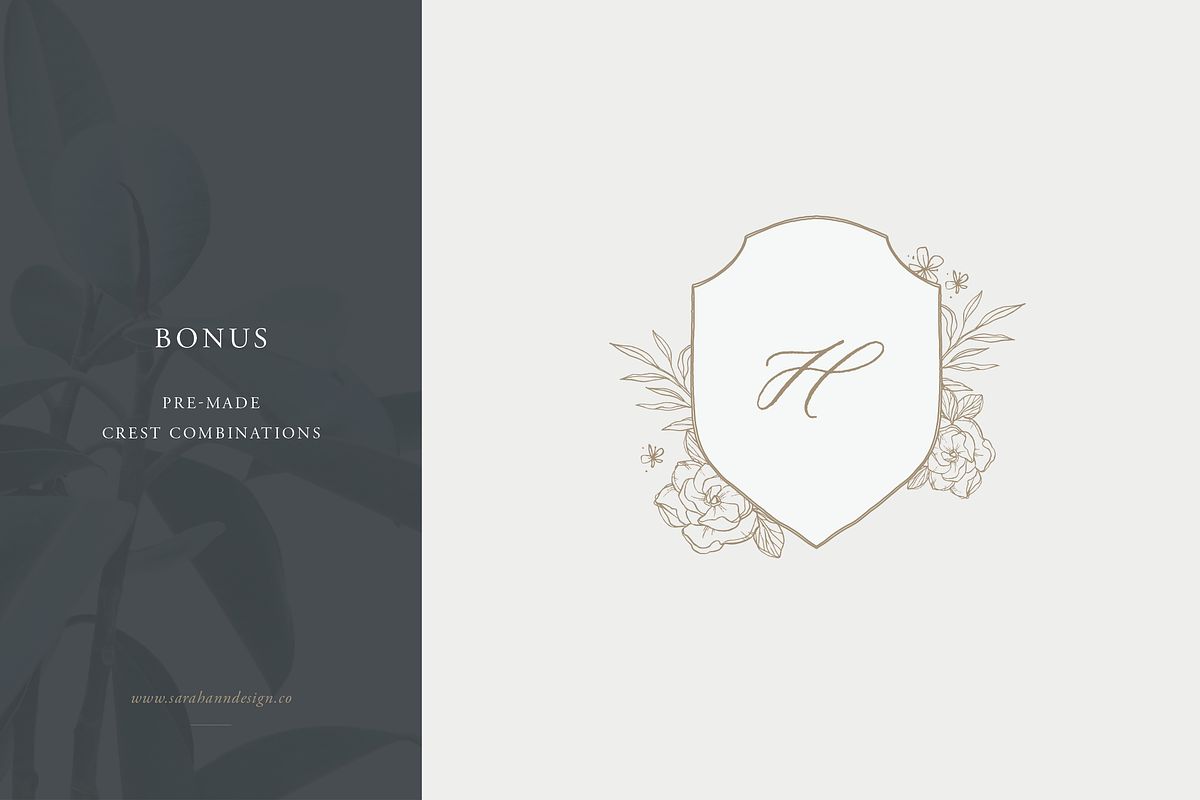 Floral Stems: Botanical Illustration, an Illustration by Sarah Ann Design (Photo 5 of 7)