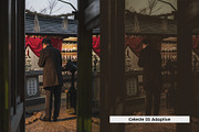 20 Memoirs Lightroom Presets & LUTs, a Preset Add-On by SparkleStock (Thumbnail 11 of 17)