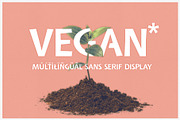 Vegan | sans serif display font, a Sans Serif Font by RARY (Thumbnail 1 of 5)