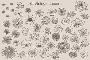 Vintage Wild Flowers Collection