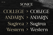 Sonice - Modern Luxury Font, a Serif Font by Vampstudio (Thumbnail 11 of 13)
