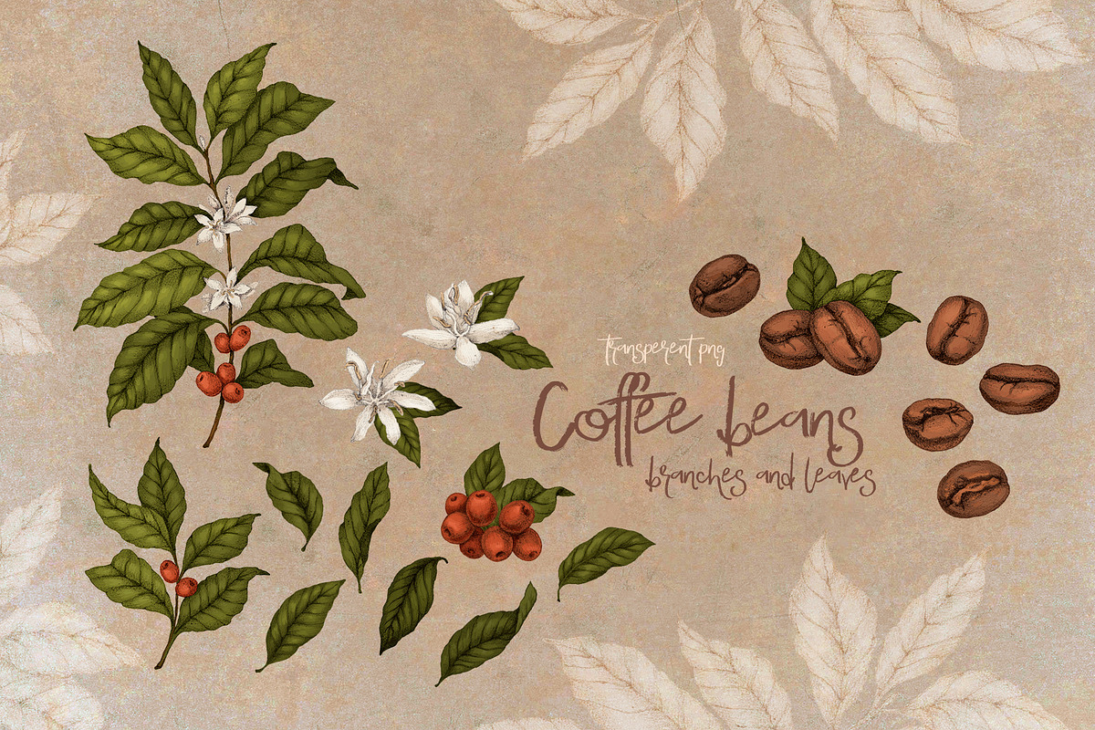 Time for Coffee illustration set, an Illustration by Alamella (Photo 7 of 10)
