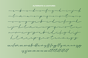 Joyful Christmas - A Font Duo, a Handwritten Font by Ainun Jinan (Thumbnail 10 of 11)