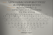 Dolemy Classic Script Font, a Script Font by TypeClassHeroes (Thumbnail 10 of 10)