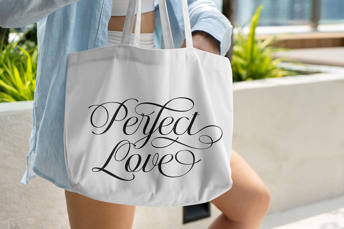 Helyna Elegant Script Font, a Script Font by RantautypeStudio (Photo 3 of 19)